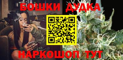 ГАЛЛЮЦИНОГЕННЫЕ ГРИБЫ Кингисепп