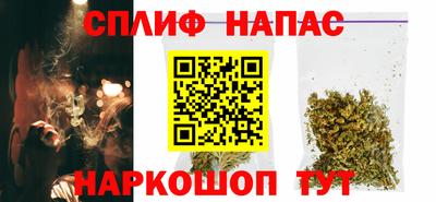 ГАЛЛЮЦИНОГЕННЫЕ ГРИБЫ Кингисепп