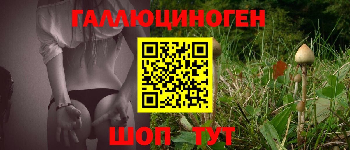 Галлюциногенные грибы мухоморы  Вход с VPN  Ишим 